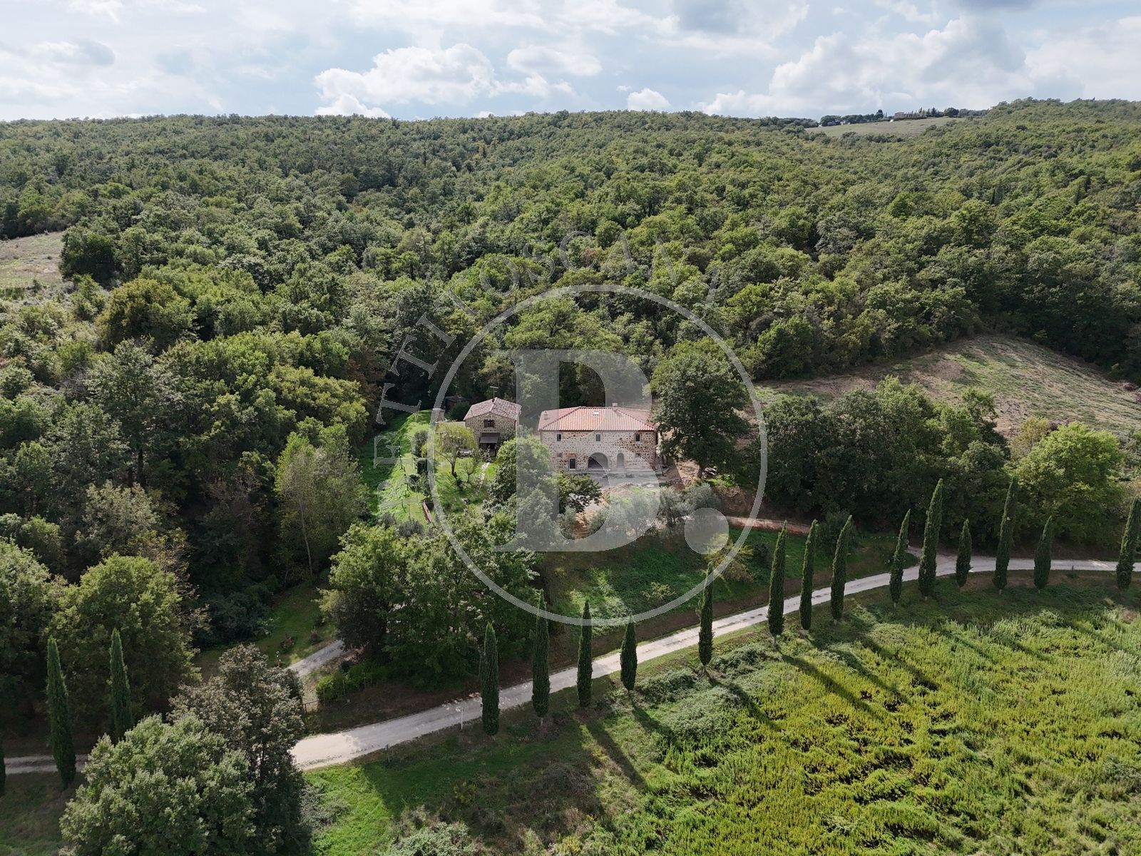 FARMHOUSE - Castelnuovo Berardenga (Si)