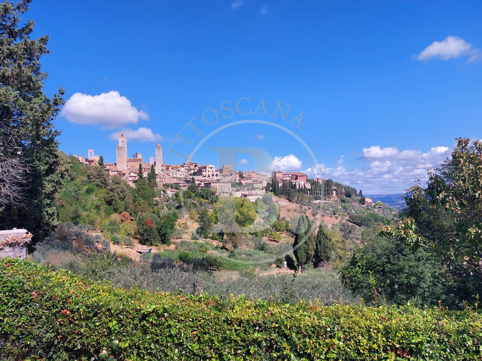 APARTMENT - San Gimignano (Si)