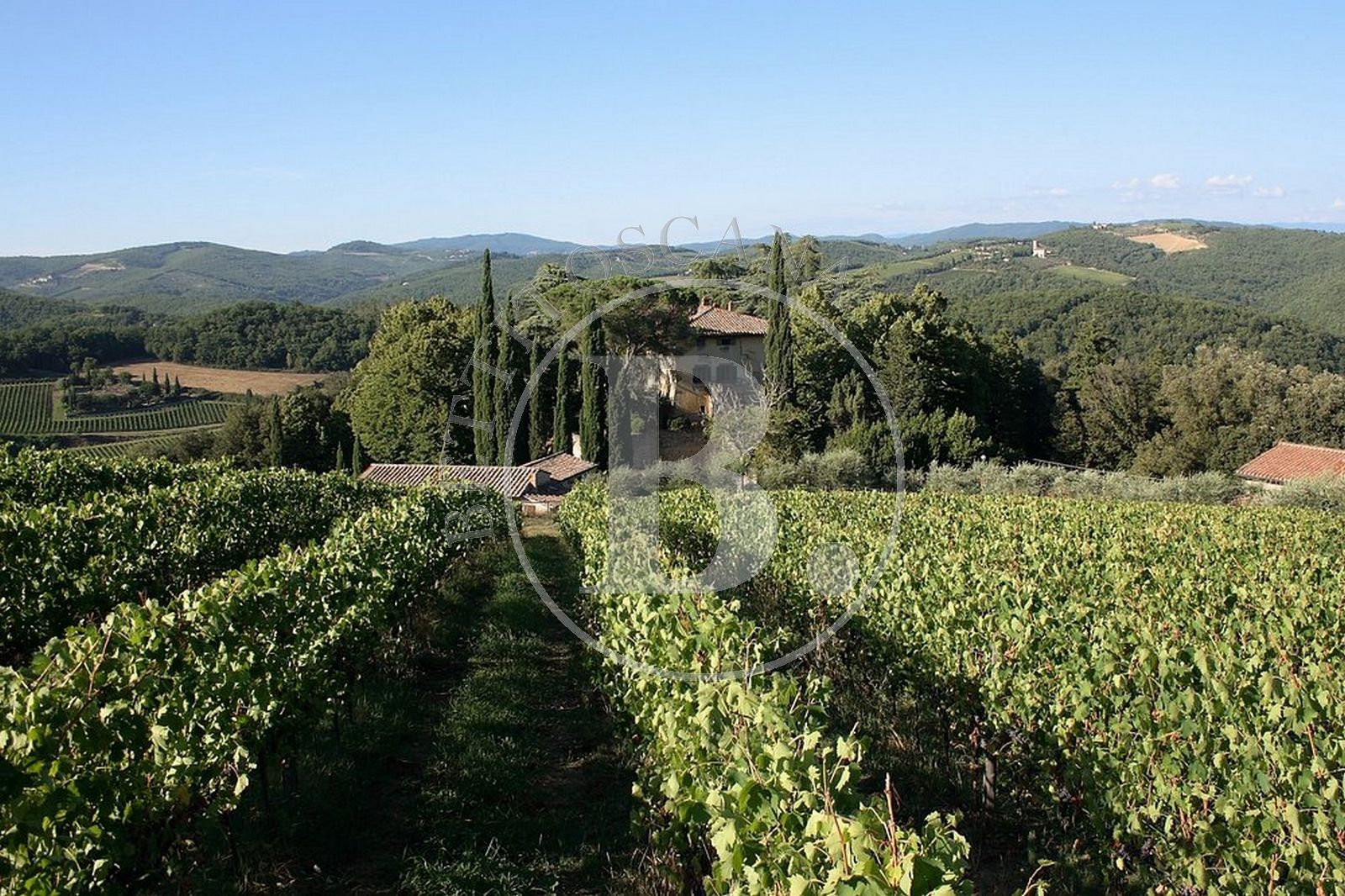 WINE ESTATE WITH HISTORIC VILLA - Chianti Classico