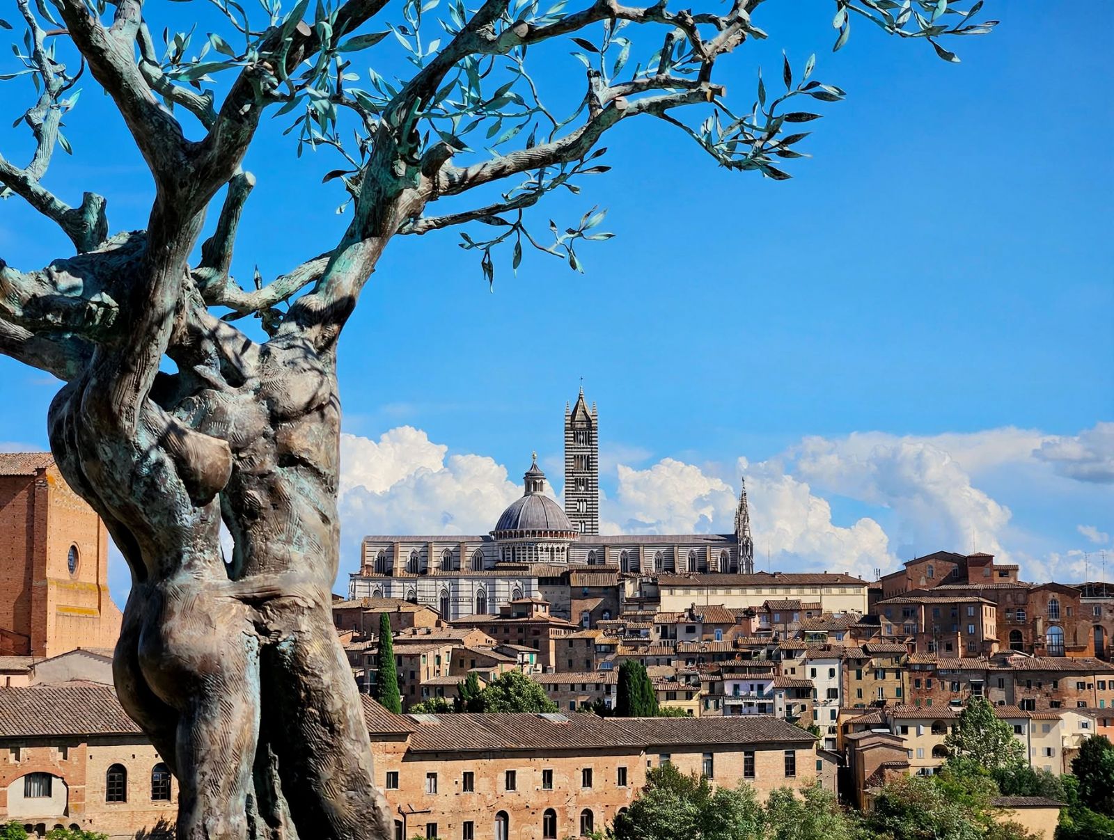 PRESTIGIOUS APARTMENT IN HISTORICAL BUILDING - Siena