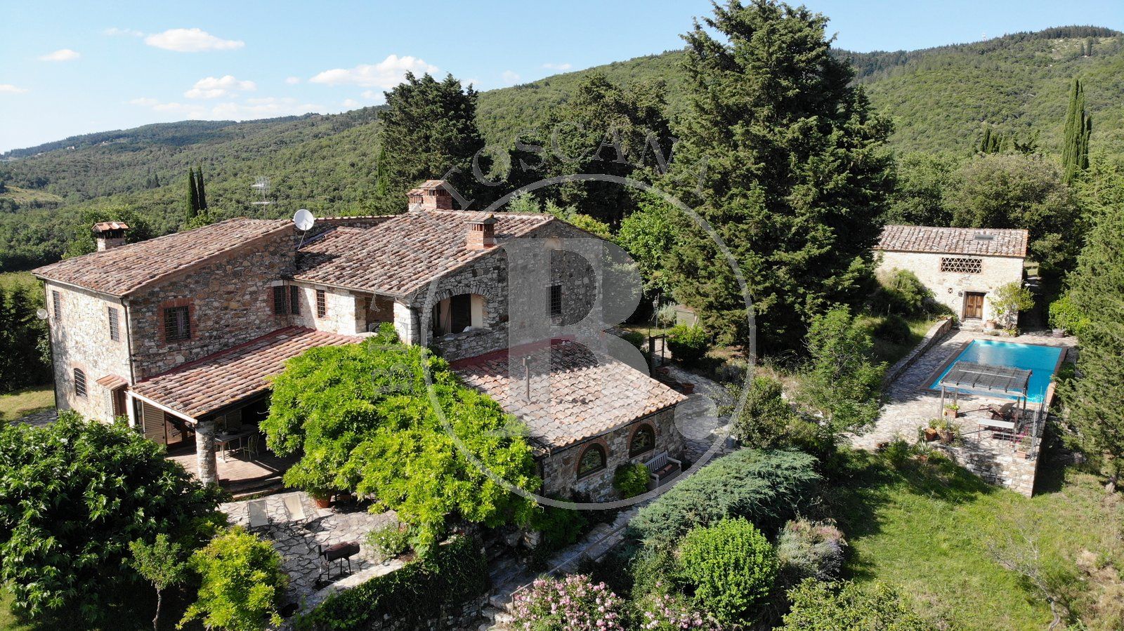 AZIENDA AGRICOLA - Castellina in Chianti (Si)