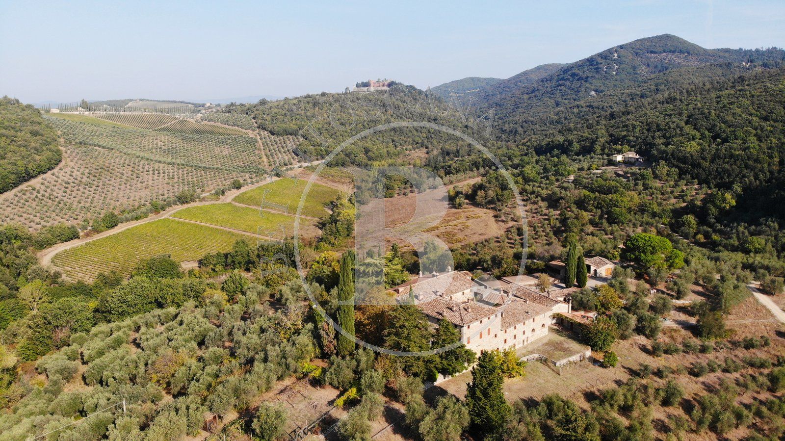 AZIENDA AGRICOLA - Castelnuovo Berardenga (Si)